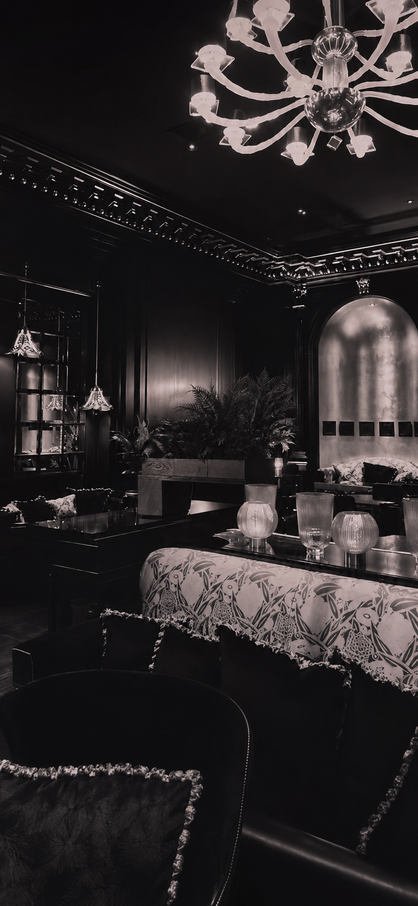 An elegant, softly lit private lounge — the setting for a woman's next chapter